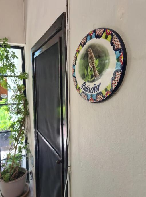 Casa Matia Bed And Breakfast San Miguel de Allende Dış mekan fotoğraf