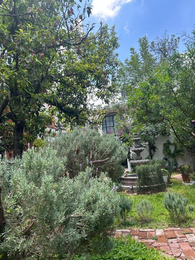 Casa Matia Bed And Breakfast San Miguel de Allende Dış mekan fotoğraf
